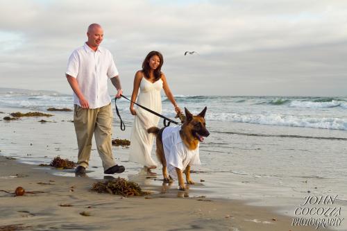 dog photographer in coronado by john cocozza photography