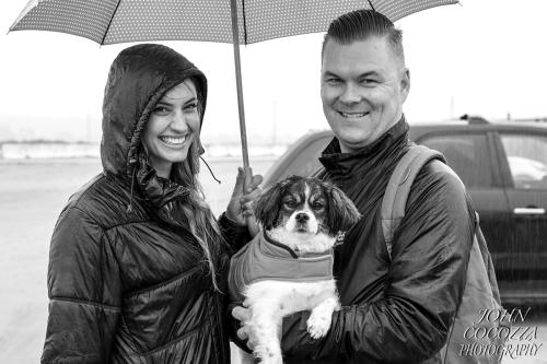 dog photographer at fiesta island in san diego by john cocozza photography