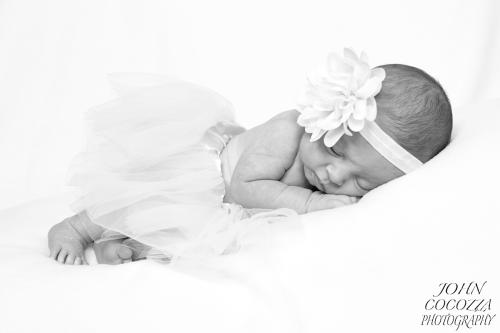 newborn pictures in san diego by photographer john cocozza photography